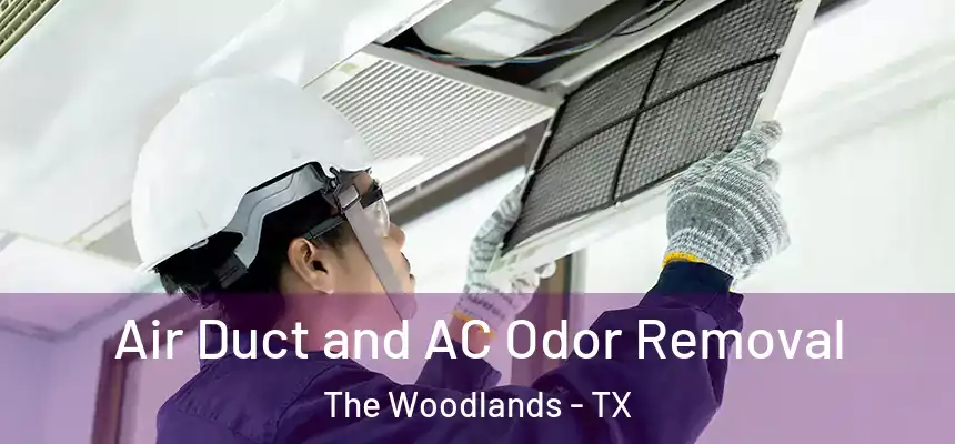 Air Duct and AC Odor Removal The Woodlands - TX