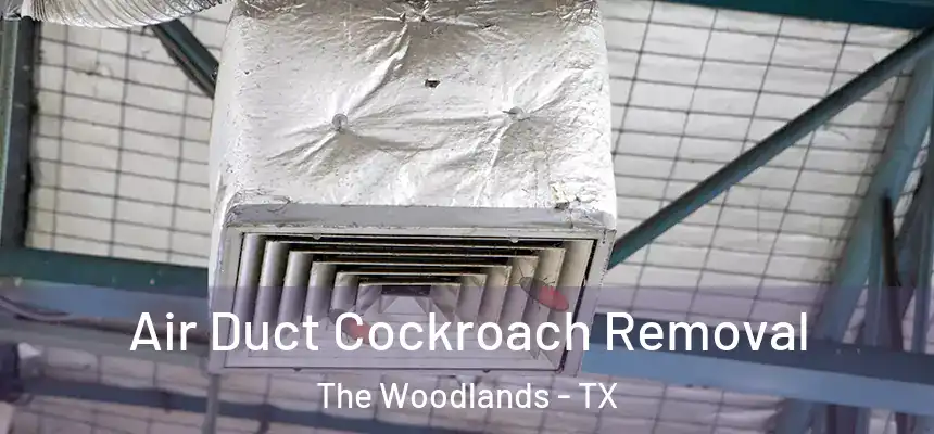 Air Duct Cockroach Removal The Woodlands - TX