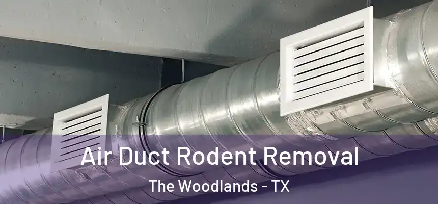 Air Duct Rodent Removal The Woodlands - TX