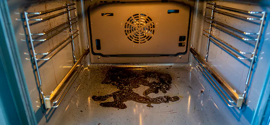 Our Dryer Vent Mold Cleaning Services in The Woodlands, TX