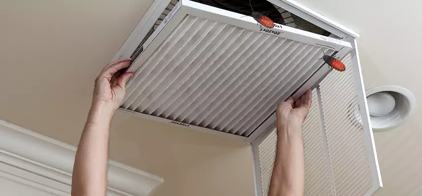 Our Insect Removal from Air Ducts Services in The Woodlands, TX
