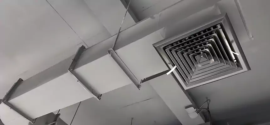 Our Pest Removal From Ducts Services in The Woodlands, TX