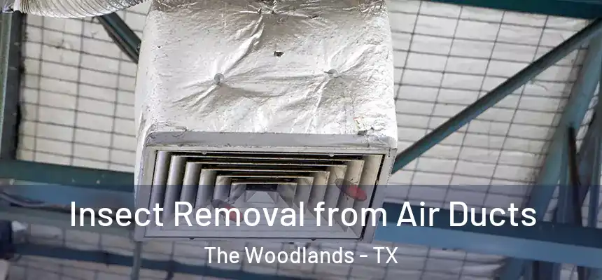Insect Removal from Air Ducts The Woodlands - TX