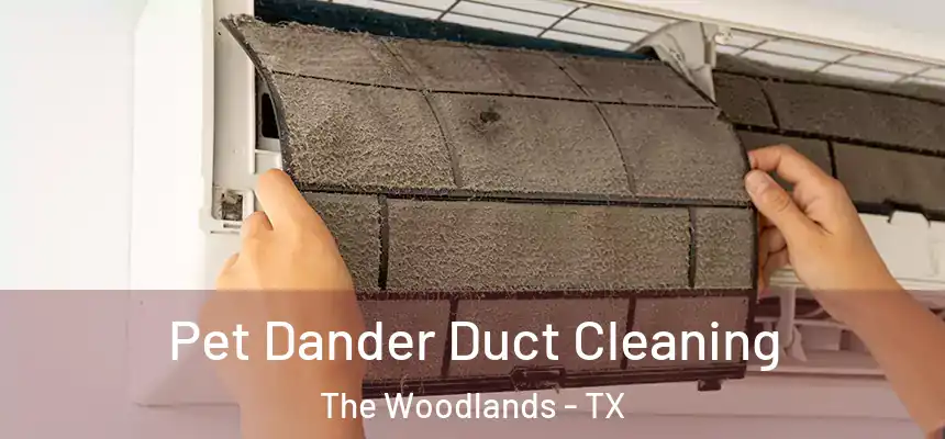 Pet Dander Duct Cleaning The Woodlands - TX