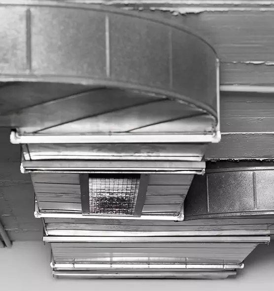 Professional Air Duct Pet Hair Removal in The Woodlands, TX