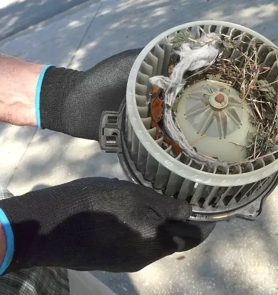 About Air Duct Rat Removal in The Woodlands, TX