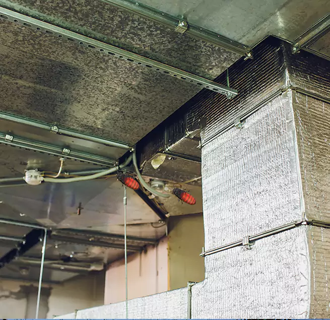 Why Homeowners & Businesses Trust Us in The Woodlands, TX?