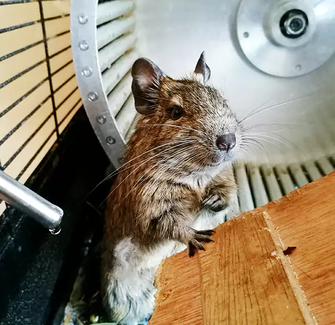 Why Homeowners & Businesses Trust Us The Woodlands, TX?